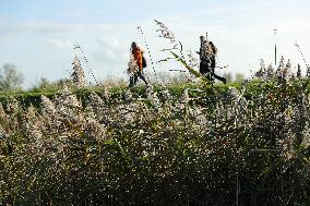 THE NETHERLANDS-ENVIRONMENT-BIESBOSCH NATIONAL PARK