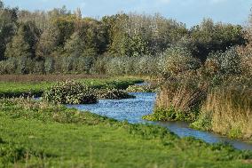 THE NETHERLANDS-ENVIRONMENT-BIESBOSCH NATIONAL PARK
