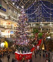 Christmas tree in Sapporo