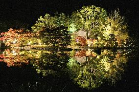 Autumn trees lit up at Fukushima temple