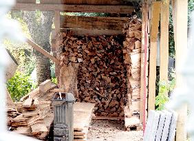 GERMANY-BERLIN-WINTER-FIREWOOD