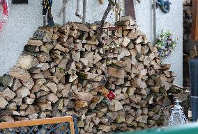 GERMANY-BERLIN-WINTER-FIREWOOD