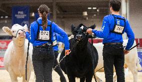 CANADA-TORONTO-ROYAL AGRICULTURAL WINTER FAIR