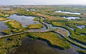 CHINA-XINJIANG-WETLANDS-SCENERY (CN)