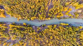 CHINA-XINJIANG-WETLANDS-SCENERY (CN)