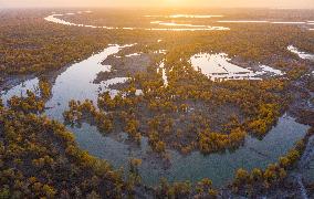 CHINA-XINJIANG-WETLANDS-SCENERY (CN)