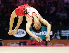 Artistic gymnastics: world championships