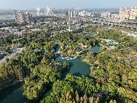 Xinhua Headlines: China progressing in wetlands conservation for high-quality development