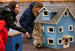 CANADA-VANCOUVER-PET LOVER SHOW