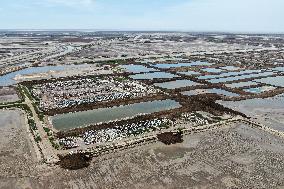 CHINA-LIAONING-PANJIN-WETLAND (CN)