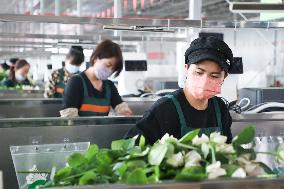 CHINA-GANSU-LANZHOU-FLORICULTURE INDUSTRY (CN)