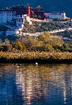 CHINA-TIBET-LHASA-WETLAND-SCENERY (CN)