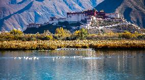 CHINA-TIBET-LHASA-WETLAND-SCENERY (CN)