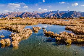 CHINA-TIBET-LHASA-WETLAND-SCENERY (CN)