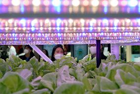 (CIIE) CHINA-SHANGHAI-CIIE-SMART AGRICULTURE (CN)