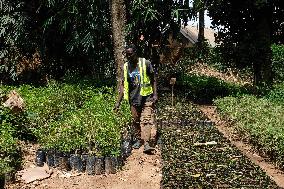 UGANDA-KAMPALA-BAMBOO ASSOCIATION