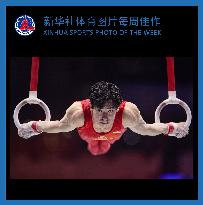(SP)XINHUA SPORTS PHOTO OF THE WEEK