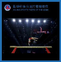 (SP)XINHUA SPORTS PHOTO OF THE WEEK