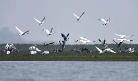 Xinhua Headlines: China beefs up wetlands conservation to enhance people's well-being