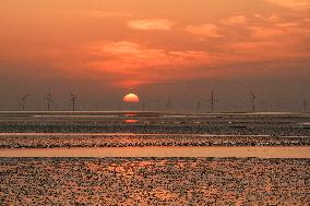 CHINA-JIANGSU-YANCHENG-WETLAND (CN)