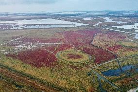 CHINA-JIANGSU-YANCHENG-WETLAND (CN)