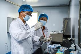 CHINA-GUANGXI-AGRICULTURAL TECHNICIANS (CN)
