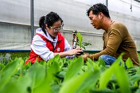 CHINA-GUANGXI-AGRICULTURAL TECHNICIANS (CN)