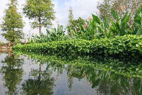 CHINA-GUANGXI-NANNING-NAKAO RIVER-WETLAND (CN)