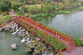 CHINA-GUANGXI-NANNING-NAKAO RIVER-WETLAND (CN)