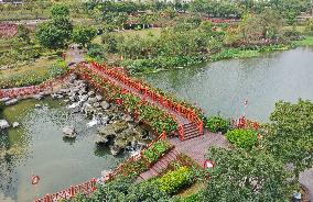 CHINA-GUANGXI-NANNING-NAKAO RIVER-WETLAND (CN)