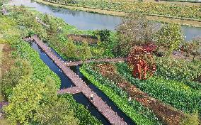 CHINA-GUANGXI-NANNING-NAKAO RIVER-WETLAND (CN)