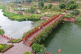 CHINA-GUANGXI-NANNING-NAKAO RIVER-WETLAND (CN)