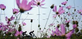 CHINA-JIANGXI-NANCHANG-WETLAND CITY (CN)