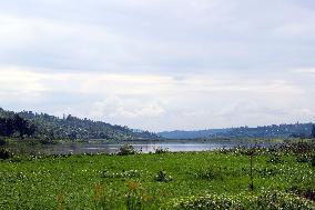 RWANDA-KIGALI-WETLANDS