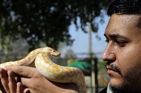 IRAQ-BAGHDAD-REPTILE FAIR