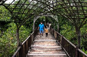 INDONESIA-SURABAYA-WETLAND PARK