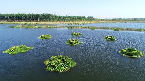 CHINA-ANHUI-HEFEI-WETLAND CITY (CN)