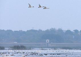 CHINA-ANHUI-LUJIANG-HUANGPI LAKE-ECOLOGICAL RESTORATION (CN)