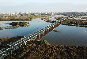 CHINA-HEILONGJIANG-HARBIN-WETLAND CITY (CN)