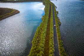 CHINA-HEILONGJIANG-HARBIN-WETLAND CITY (CN)