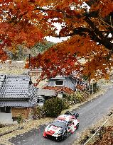 Motor racing: Rally Japan