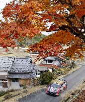 Motor racing: Rally Japan