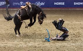 (SP)CANADA-TORONTO-RODEO