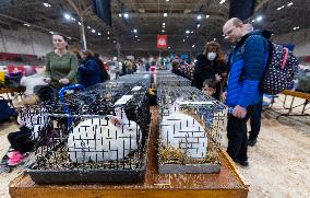 CANADA-TORONTO-ROYAL AGRICULTURAL WINTER FAIR