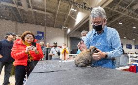 CANADA-TORONTO-ROYAL AGRICULTURAL WINTER FAIR