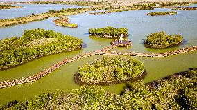 CHINA-SHANDONG-DONGYING-WETLAND CITY (CN)