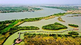CHINA-SHANDONG-DONGYING-WETLAND CITY (CN)