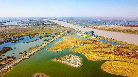 CHINA-SHANDONG-DONGYING-WETLAND CITY (CN)