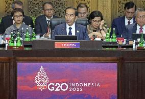 G-20 summit in Indonesia