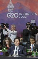 G-20 summit in Indonesia